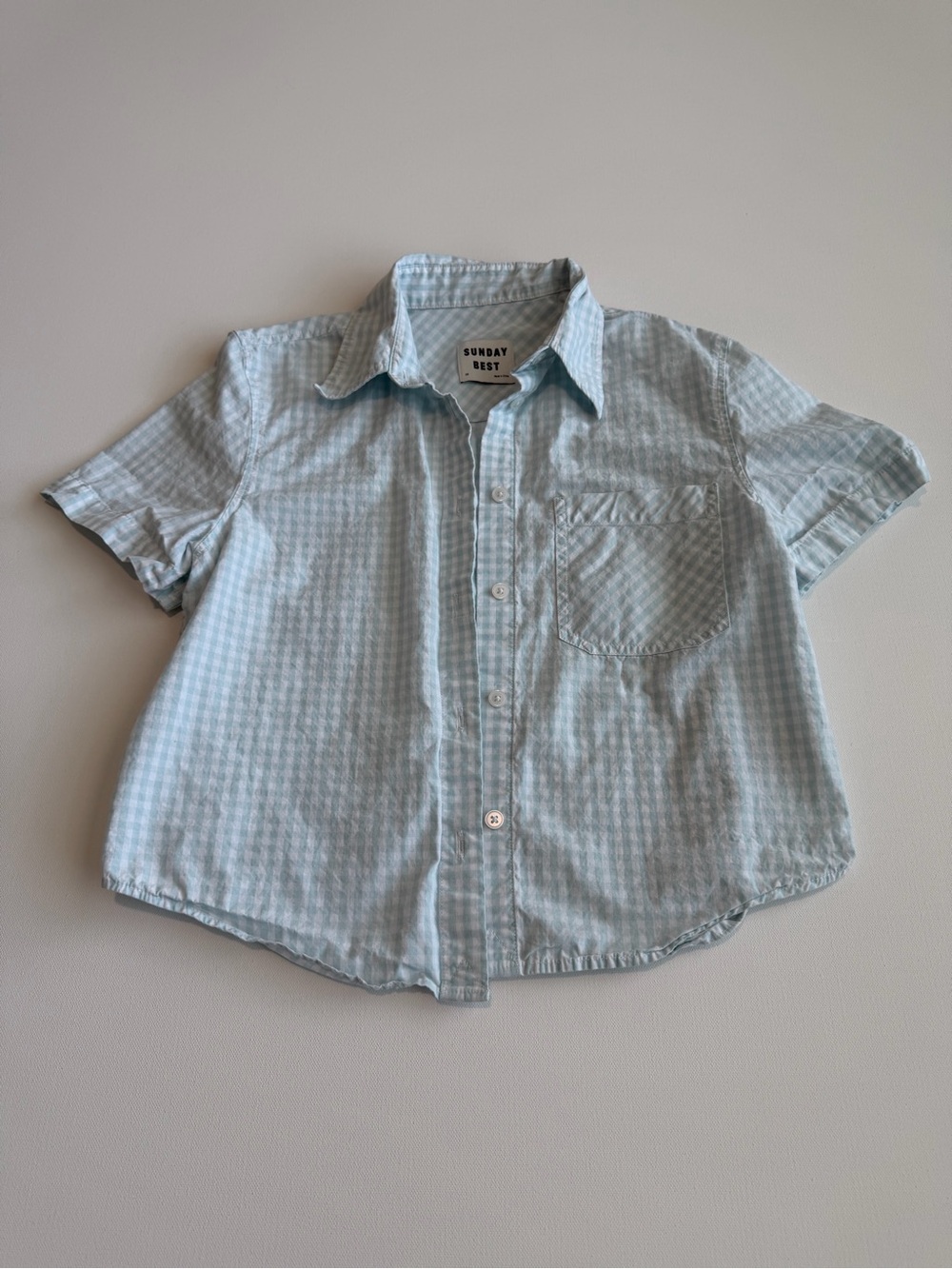 Sunday Best Aritzia Gingham Button Down Shirt Blue White Checkered XS Cropped